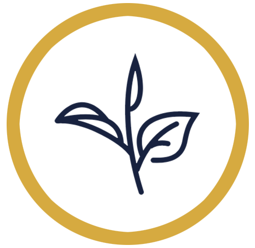 Tea flavor icon