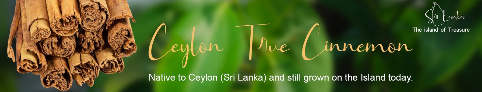 Ceylon fruits and natural products banner